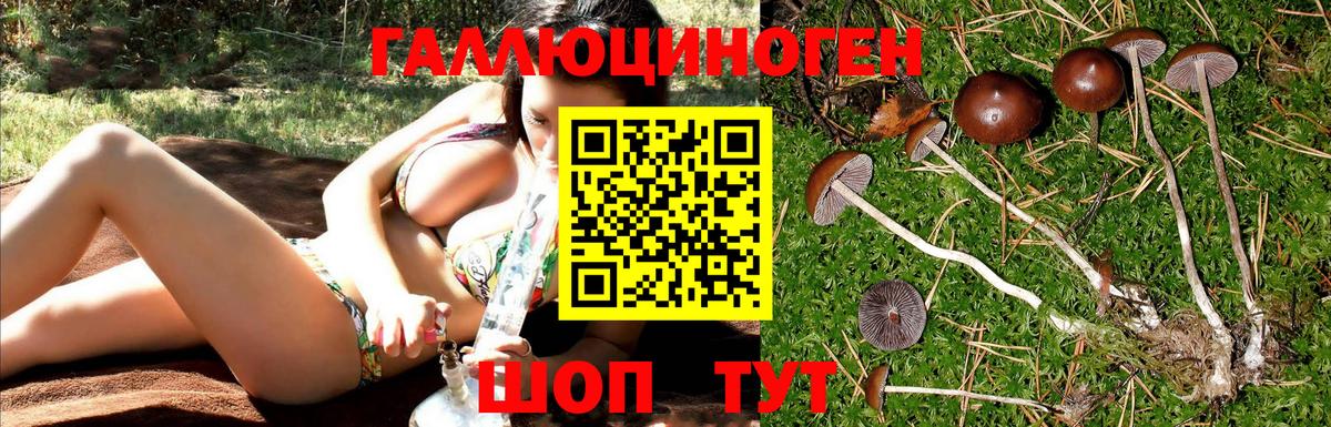 Галлюциногенные грибы GOLDEN TEACHER Чехов