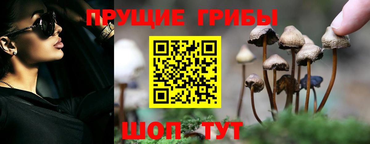 Галлюциногенные грибы MAGIC MUSHROOMS  Вход с VPN  Чехов 
